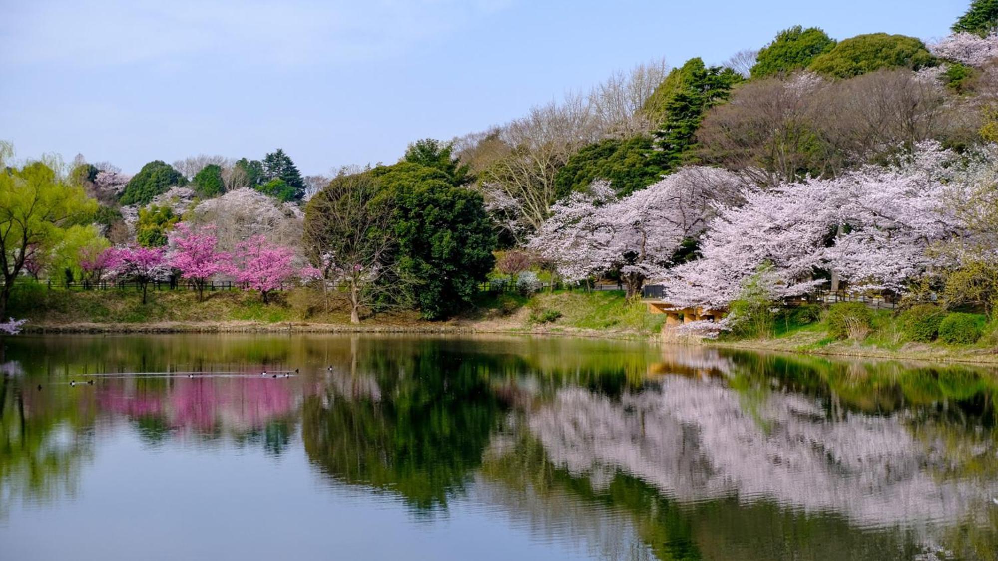 Toyoko Inn Yokohama Tsurumi Eki Higashi Guchi Buitenkant foto